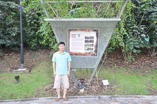 Where Convergence beautiful flowers and rare plants of the world