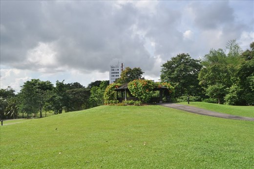 Where Convergence beautiful flowers and rare plants of the world