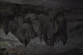 Phong Nha Ke Bang Caves - Fairyland: by thuynguyen, Views[150]