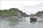 Cat Ba Island, Vietnam: by thuynguyen, Views[330]
