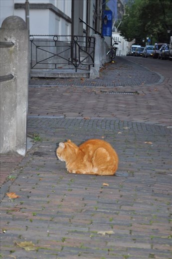Utrecht - Peaceful City