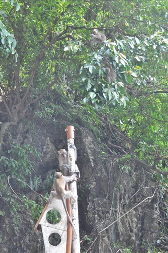 Visit the Batu Caves, Malaysia