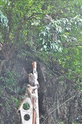 Visit the Batu Caves, Malaysia: by thuynguyen, Views[200]