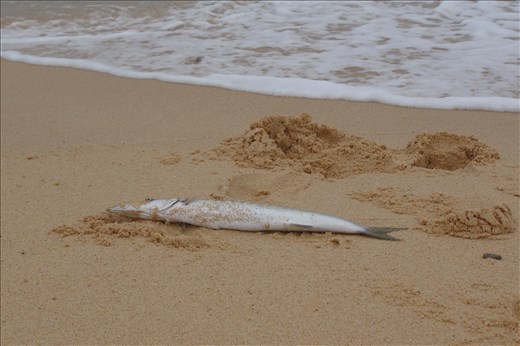 Phu Quoc Pearl Island, Vietnam