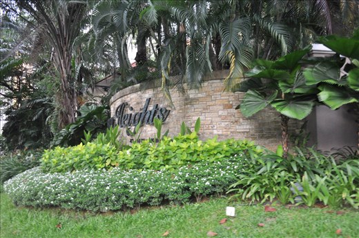 Morning in singapore