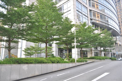 Morning in singapore