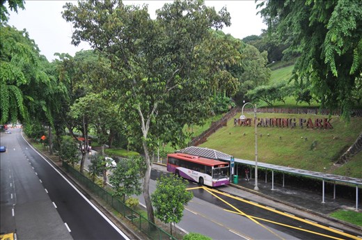 Morning in singapore