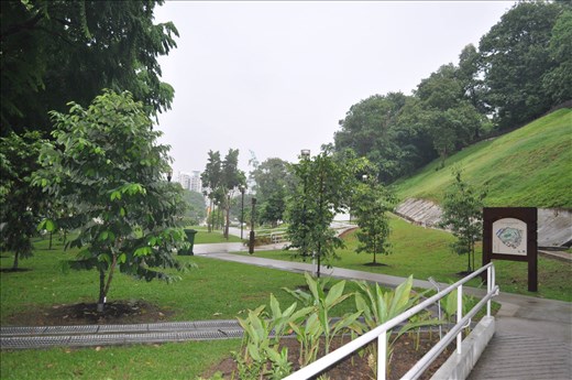 Morning in singapore