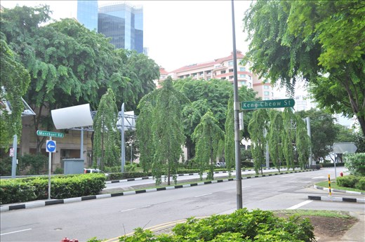 Morning in singapore