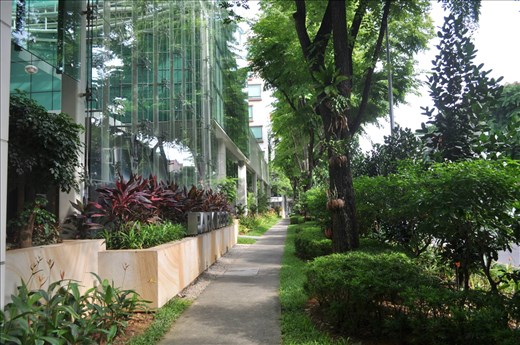 Morning in singapore