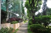 Morning in singapore: by thuynguyen, Views[313]