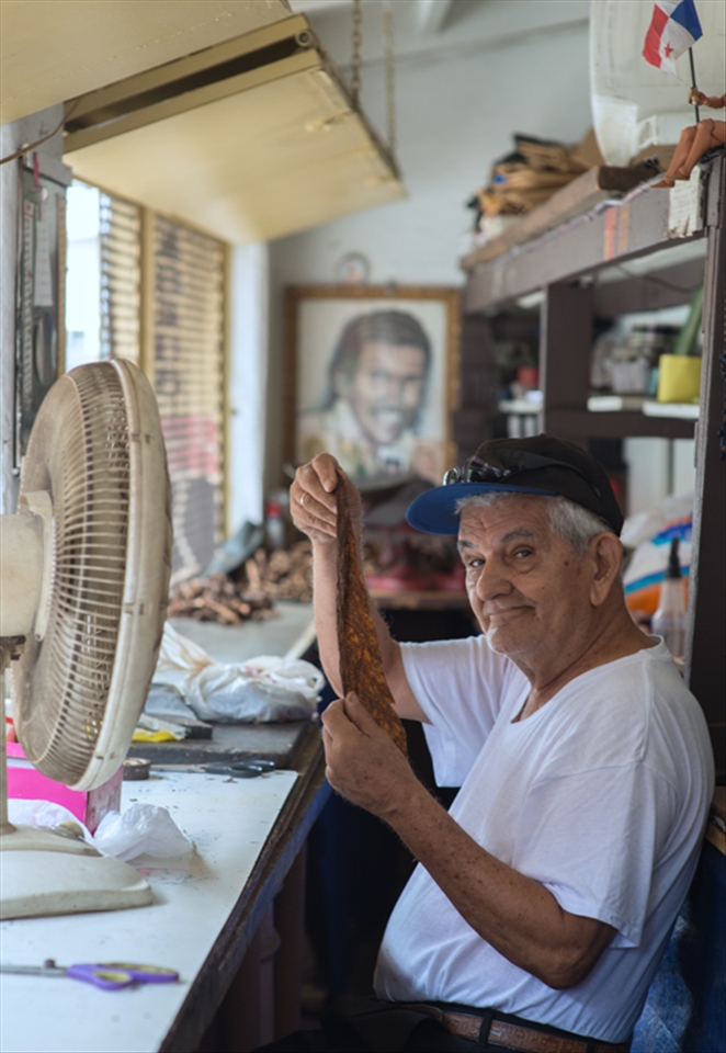 Smiling, he raises a cigarro leaf wrapper and continues working.