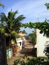 by tiff_haggith, Views[114]