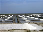 Salt Planes: by tiff_haggith, Views[173]
