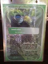 Poo Coffee!!!: by tiffany3939, Views[216]