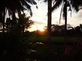 by tiffany3939, Views[184]