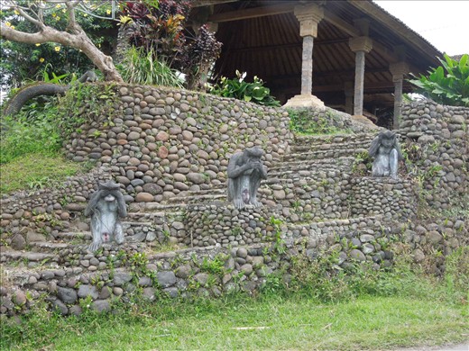 My favorite monkeys on the trip...