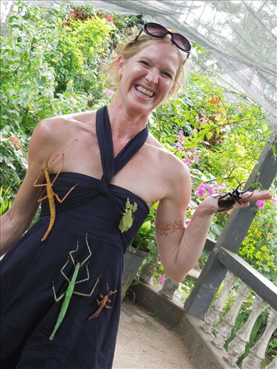 Bugs at the butterfly farm!