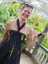 Bugs at the butterfly farm!: by tiffany3939, Views[249]