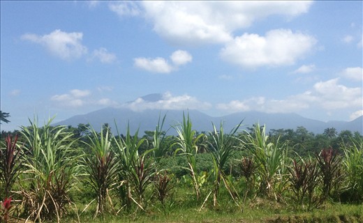 Volcano bound soon come!!!