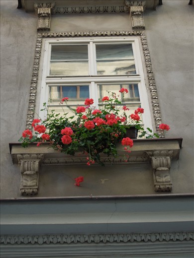 Love the fact that Europe is filled with flowers!!!
