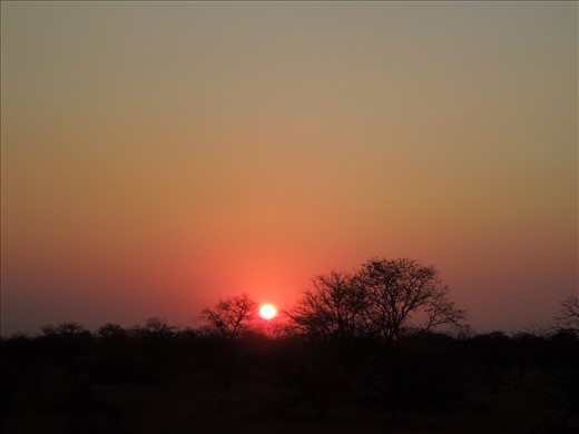 African Sunrise...