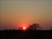 African Sunrise...: by tiffany3939, Views[193]