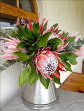 by tiffany3939, Views[162]