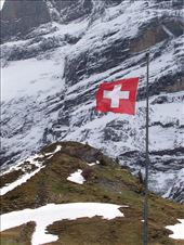Switzerland, Bernese Oberland -  Grosse Scheidegg: by tiffinbitesized, Views[285]