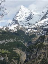 Switzerland, Murren - Eiger view: by tiffinbitesized, Views[300]