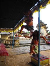 Neighbors.: by tiinakokki, Views[117]