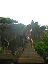 by tiinakokki, Views[149]