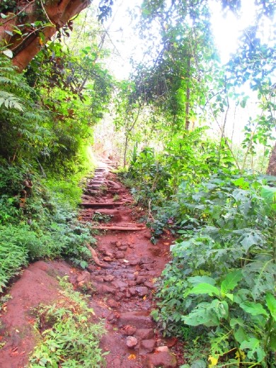 Ride up with scooter? No problem.