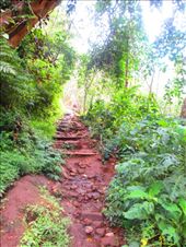 Ride up with scooter? No problem.: by tiinakokki, Views[207]