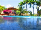 Yes, studying can be very tough in Bali.: by tiinakokki, Views[207]