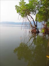 by tiinakokki, Views[282]