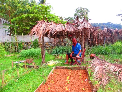 Mr T. got bored of the noisy bar upstairs, and started building his own :)