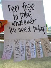 My new Saturday market hobby: by tiinakokki, Views[257]