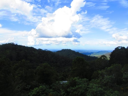 You should get out of town too