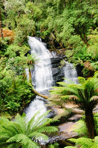 Otway falls on the way to great ocean drive.again spectacular.It was a long way down and round the stairs and finding this short was a worthy one.