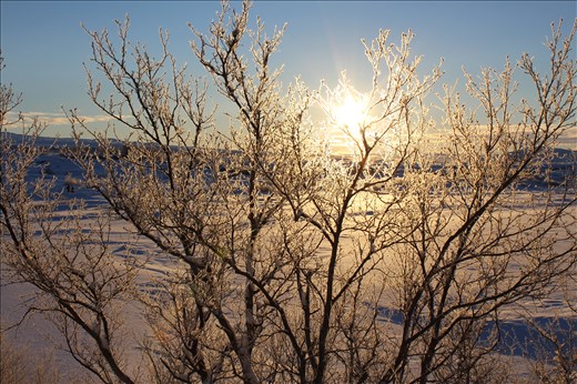 Thingvellir National Park