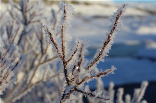 Thingvellir National Park