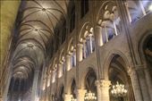 Notre Dame: by tiltingwindmills, Views[340]