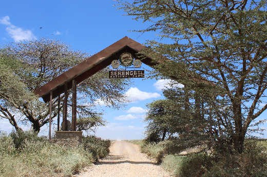 Serengeti NP
