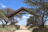 Serengeti NP: by tiltingwindmills, Views[288]