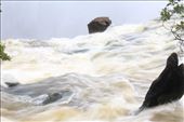 Victoria Falls from Zambia side: by tiltingwindmills, Views[564]