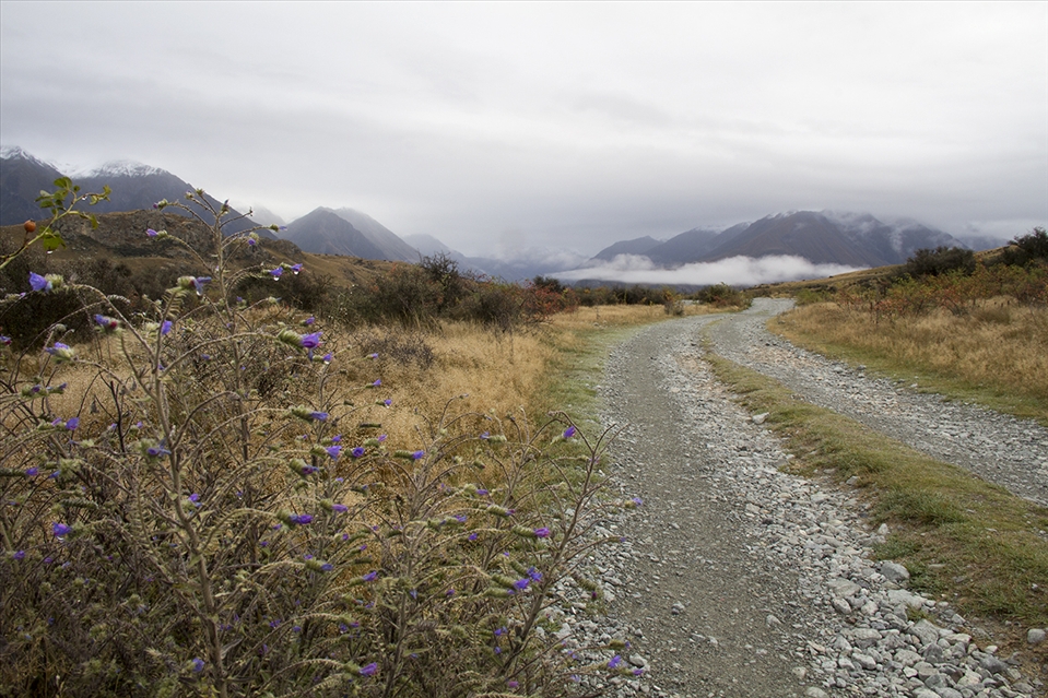 The Road Less Traveled. On the way to Mount Sunday in central Canterbury, NZ