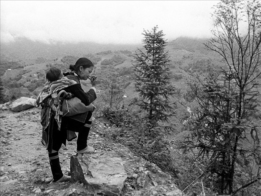 A local guide. Sure footed and confident, even while carrying a precious cargo.