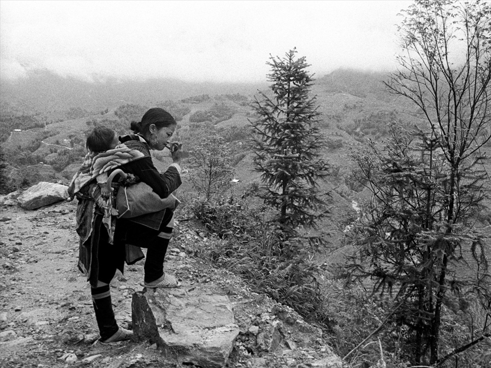 A local guide. Sure footed and confident, even while carrying a precious cargo.