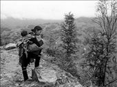 A local guide. Sure footed and confident, even while carrying a precious cargo.: by timdk, Views[335]